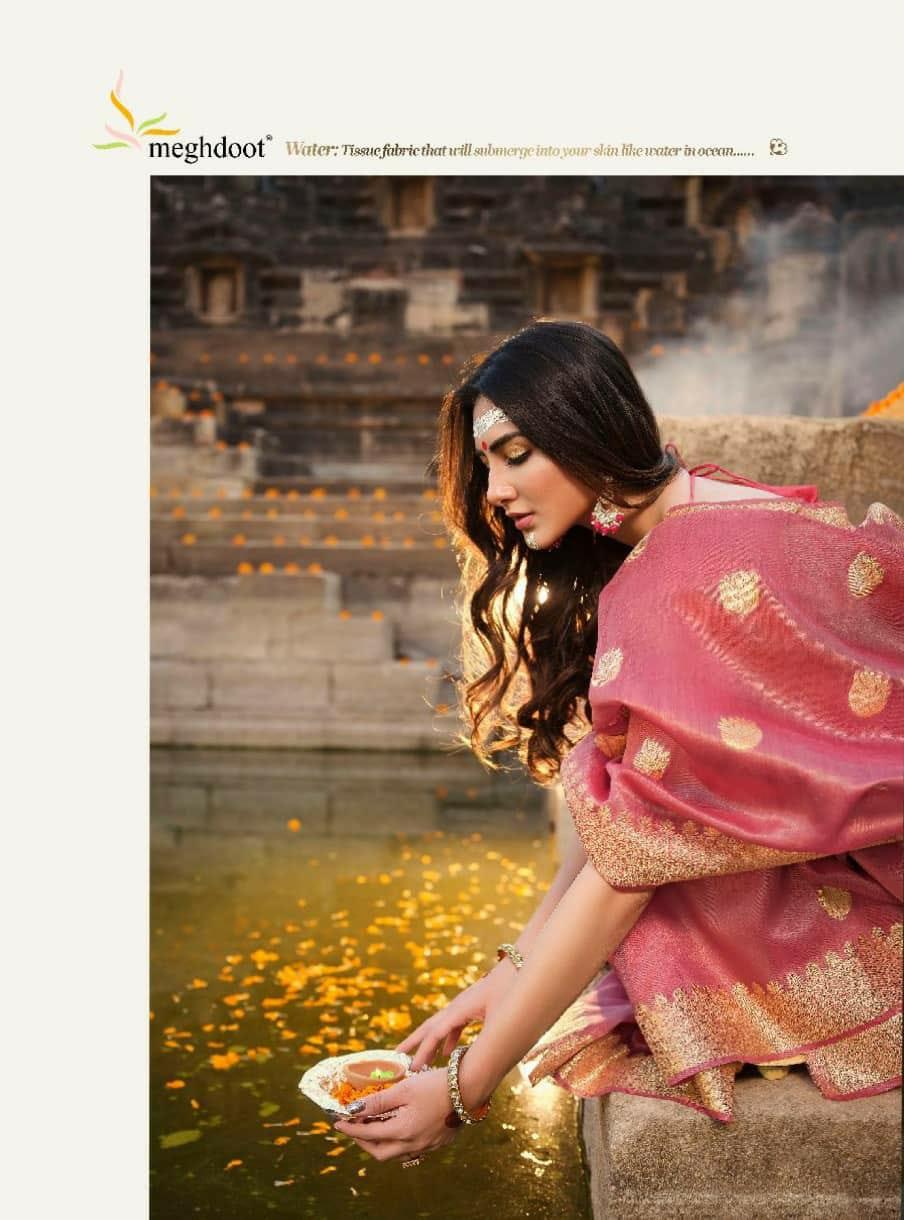 Meghdoot Shuddhi Soft Tissue Silk Saree Anant Tex Exports Private Limited