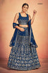 Mahira Vol. 3 Designer Occasion Wear Lehenga D.No 65003 - Anant Exports