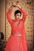 Euphoria Vol-11 Designer Occasion Wear Lehenga D.No 67002 - Anant Exports