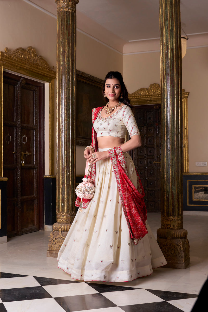 Lehenga Choli