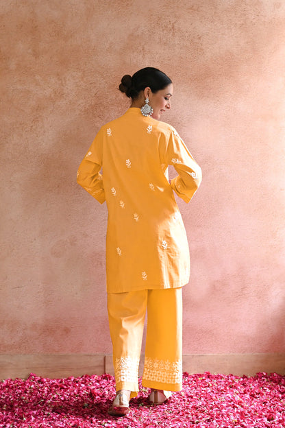 Plazo Suit