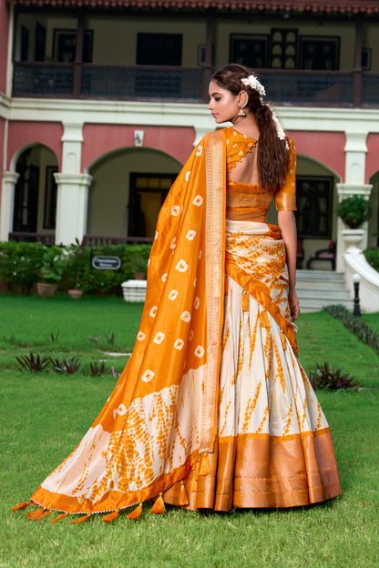 Lehenga Choli