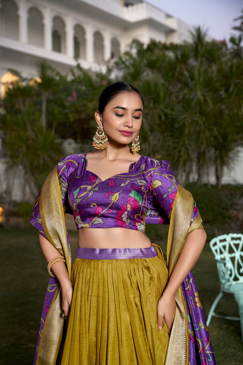 Lehenga Choli