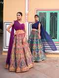 Banarasi Lehenga Choli