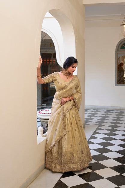 Lehenga Choli