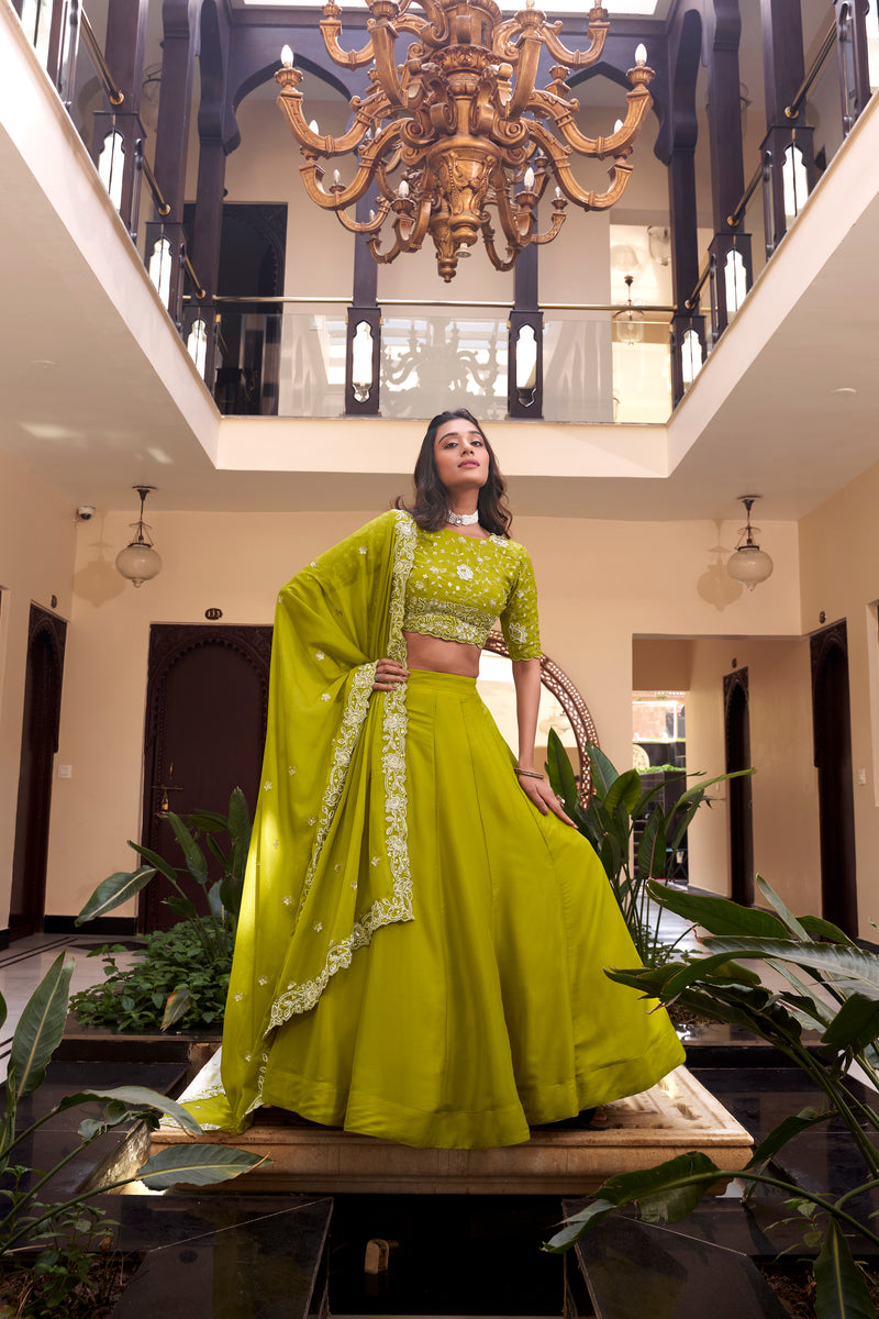 Lehenga Choli