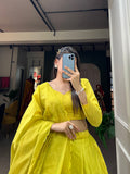 Lehenga Choli