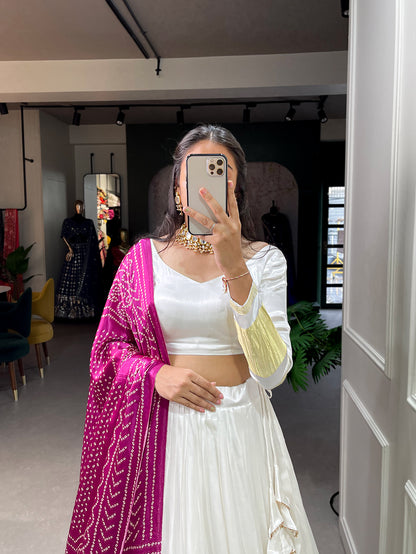 Lehenga Choli