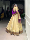 Lehenga Choli
