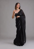 Sequins Saree