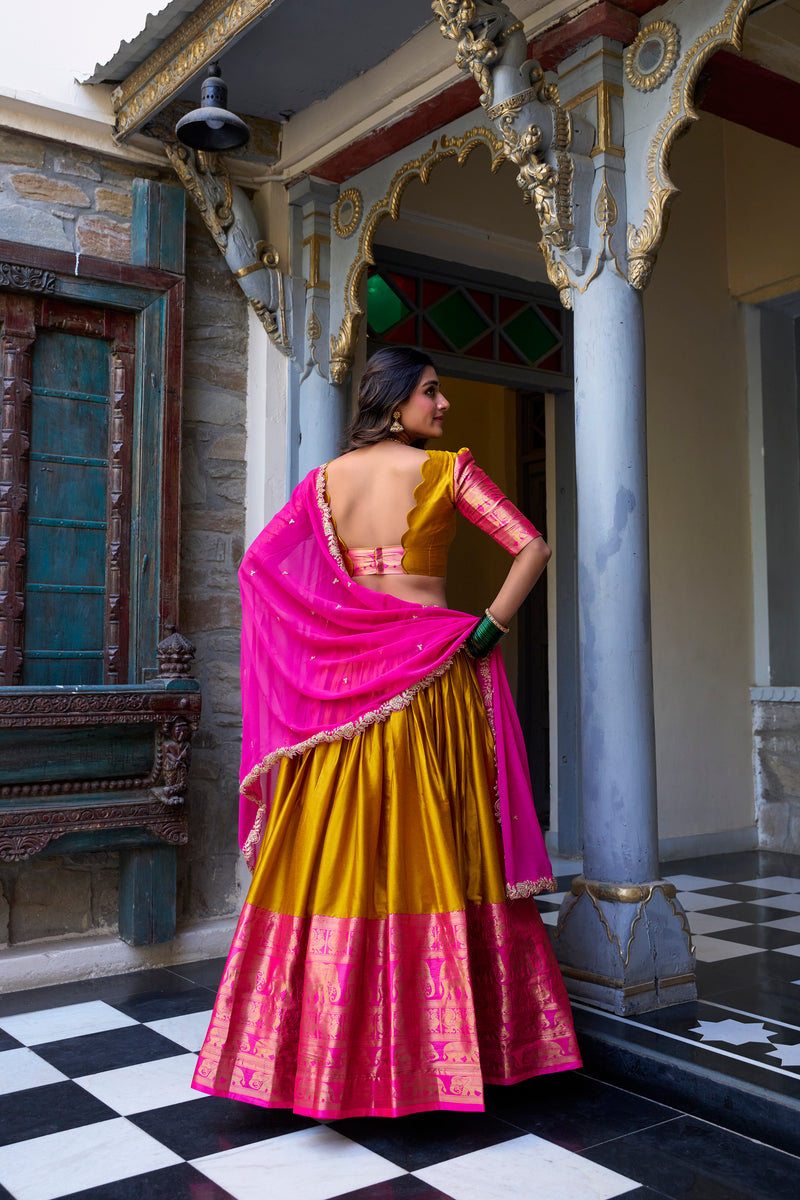 Lehenga Choli
