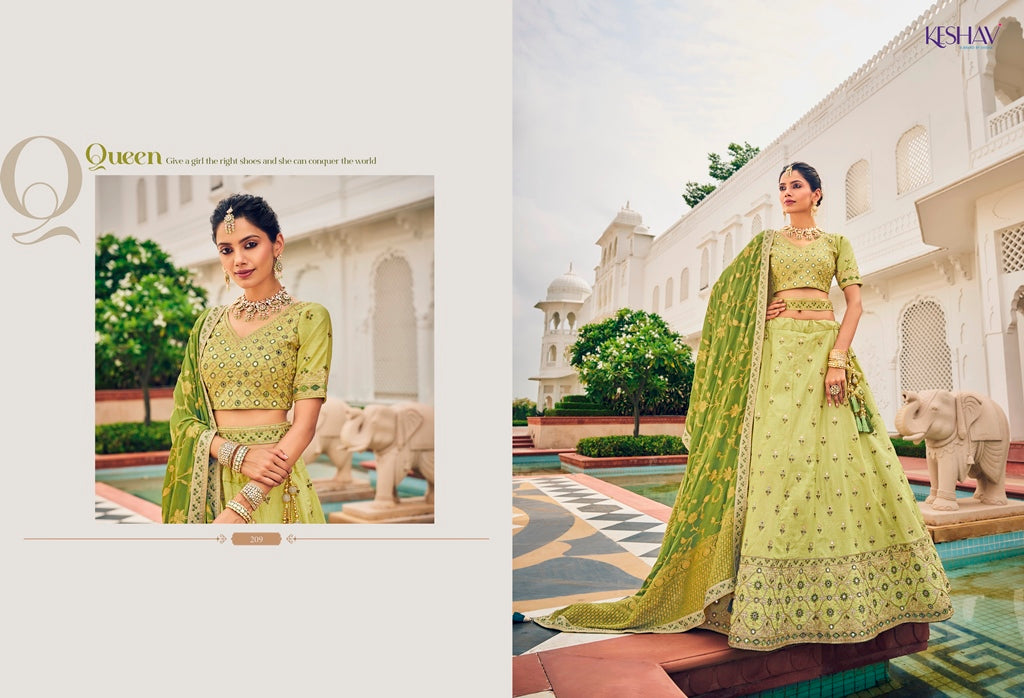 Beautiful Wedding Designer Shisha Keshav Vol 2 Design 209