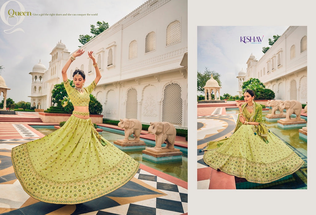 Beautiful Wedding Designer Shisha Keshav Vol 2 Design 209