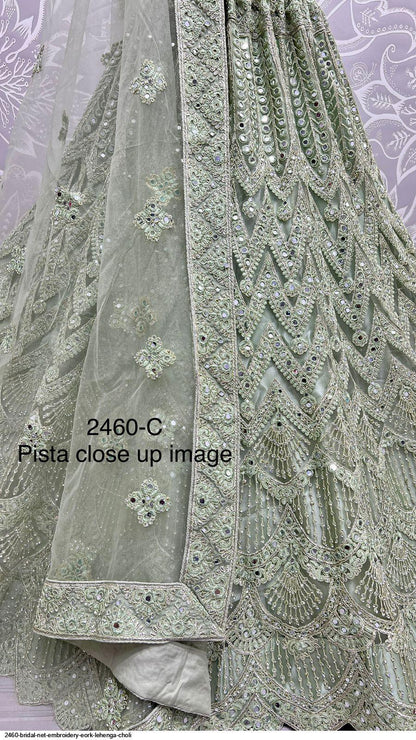 Party Wear Lehenga Choli D.No 2460 - Anant Exports
