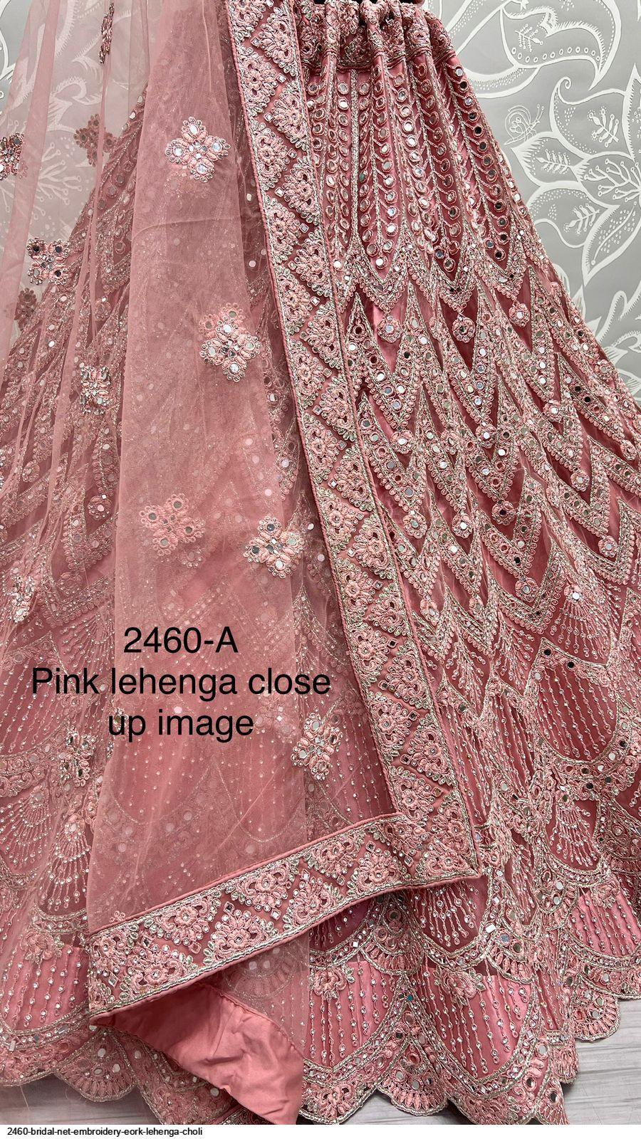 Party Wear Lehenga Choli D.No 2460 - Anant Exports