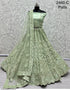 Party Wear Lehenga Choli D.No 2460 - Anant Exports