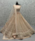 Bridal Lehenga Choli