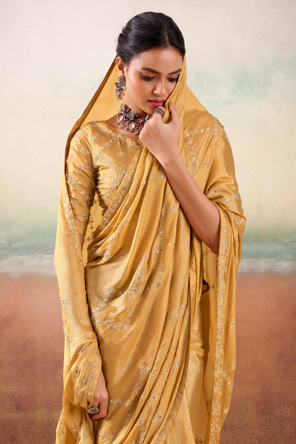 Chikoo Two Tone Chiffon Saree 