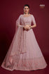 Poshak Vol 6 Designer Occasion Wear Lehenga D.No 49003 - Anant Exports