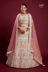 Poshak Vol 6 Designer Occasion Wear Lehenga D.No 49007 - Anant Exports