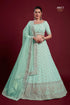 Poshak Vol 6 Designer Occasion Wear Lehenga D.No 49017 - Anant Exports