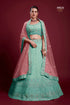 Poshak Vol 6 Designer Occasion Wear Lehenga D.No 49024 - Anant Exports