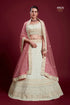 Poshak Vol 6 Designer Occasion Wear Lehenga D.No 49026 - Anant Exports