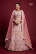 Poshak Vol 6 Designer Occasion Wear Lehenga D.No 49027 - Anant Exports