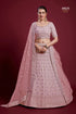 Poshak Vol 6 Designer Occasion Wear Lehenga D.No 49029 - Anant Exports