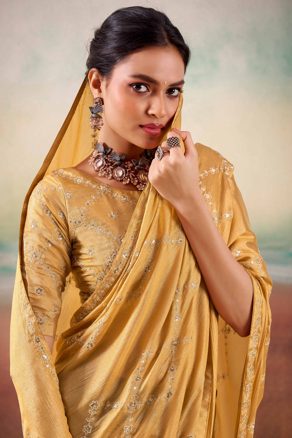Chikoo Two Tone Chiffon Saree 