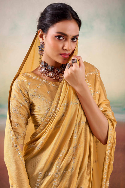 Chikoo Two Tone Chiffon Saree 