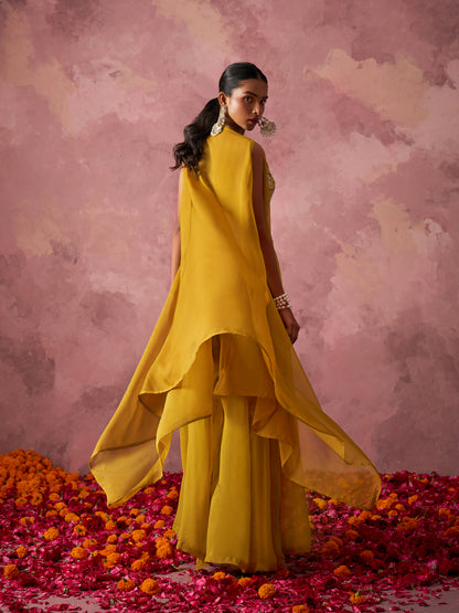 Mustard Yellow Georgette Sharara Set