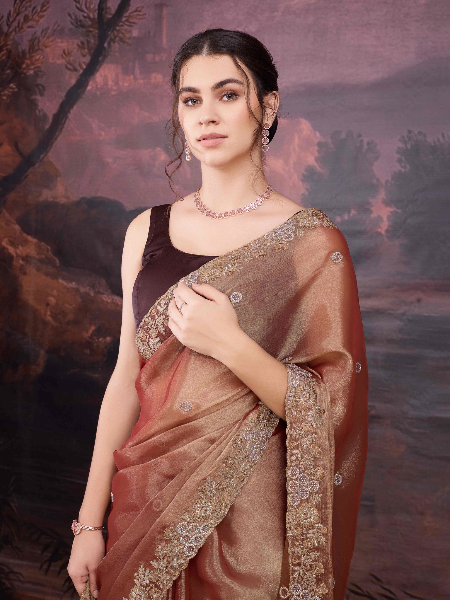 Elegant brown designer saree with shimmer and sparkle