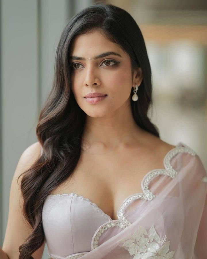 Close up of Lilac Jimmy Choo Saree