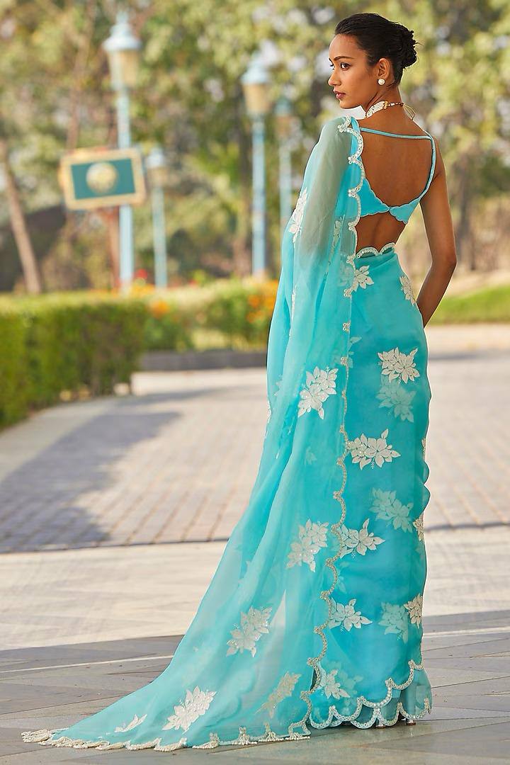 Back View of Sky Blue Jimmy Choo Saree