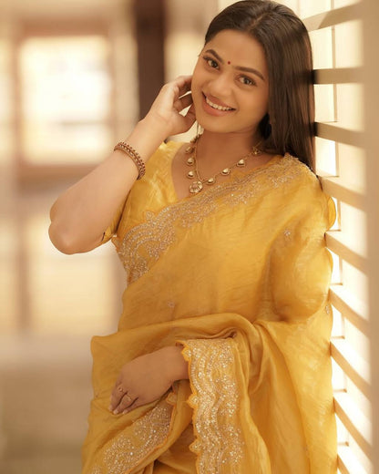 Organza Saree