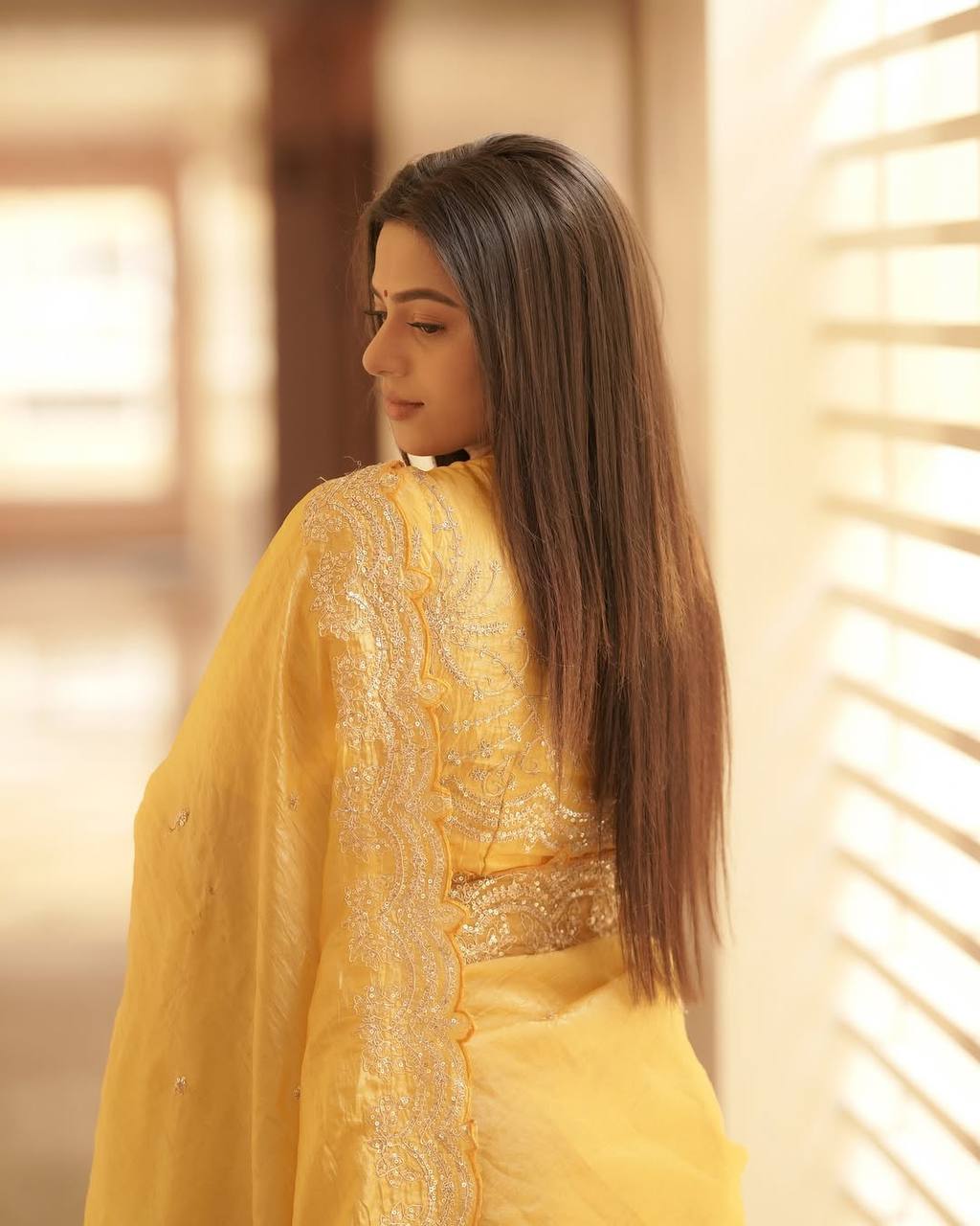 Organza Saree