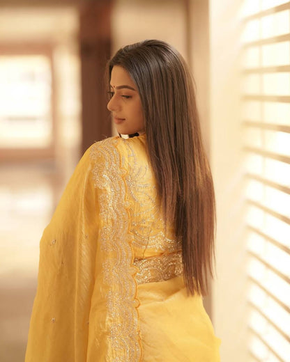 Organza Saree