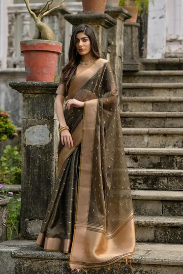 Brown Pure Soft Kalyani Silk Saree