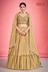 Regina Designer Occasion Wear Lehenga D.No 1605 - Anant Exports