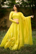 Lehenga Choli