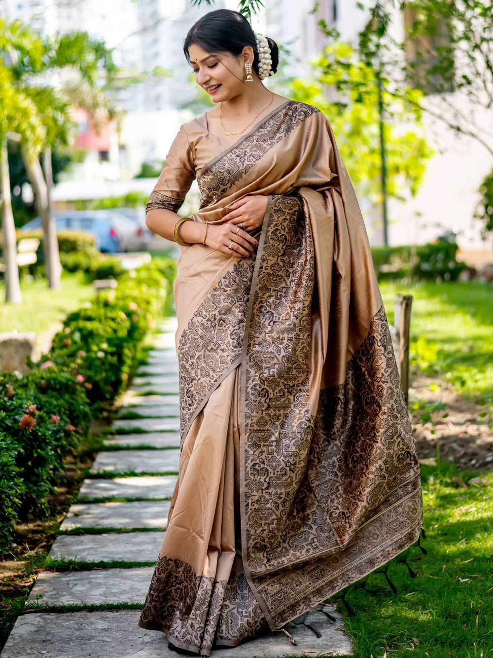 Chiku Pure Handloom Row Silk Saree