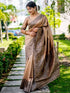 Chiku Pure Handloom Row Silk Saree Row Silk Saree Anant Tex Exports Pvt.Ltd..