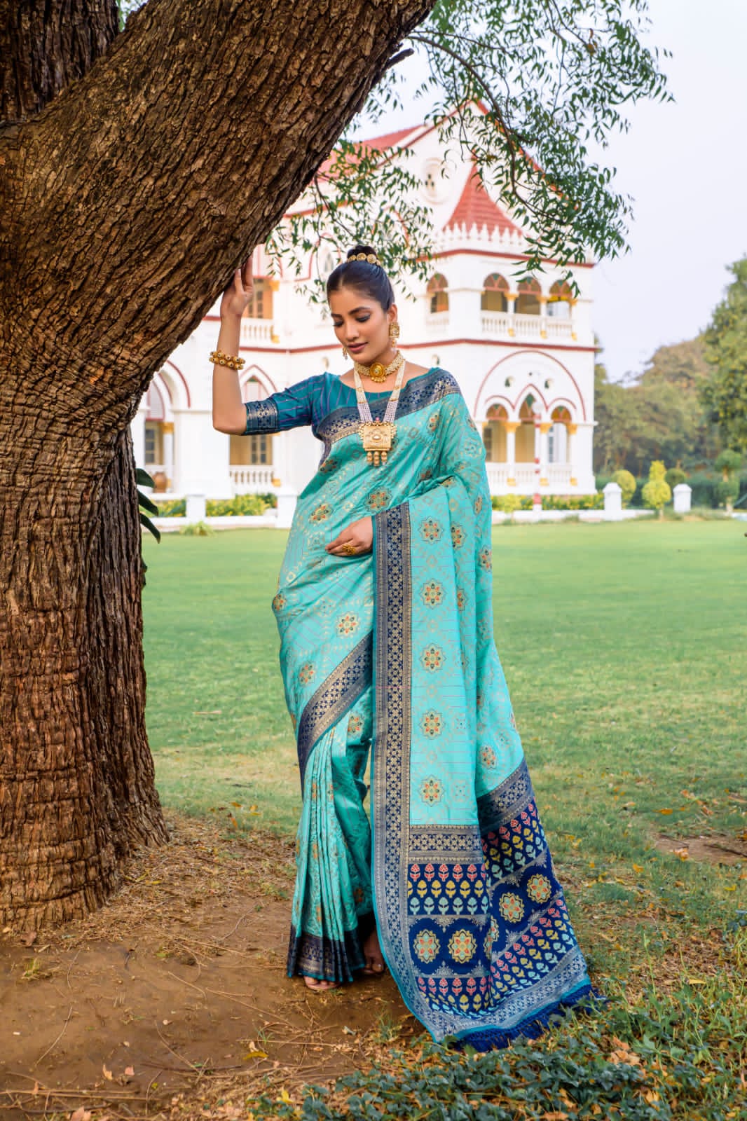 Beautiful Designer Banarasi Soft Silk Patola Saree