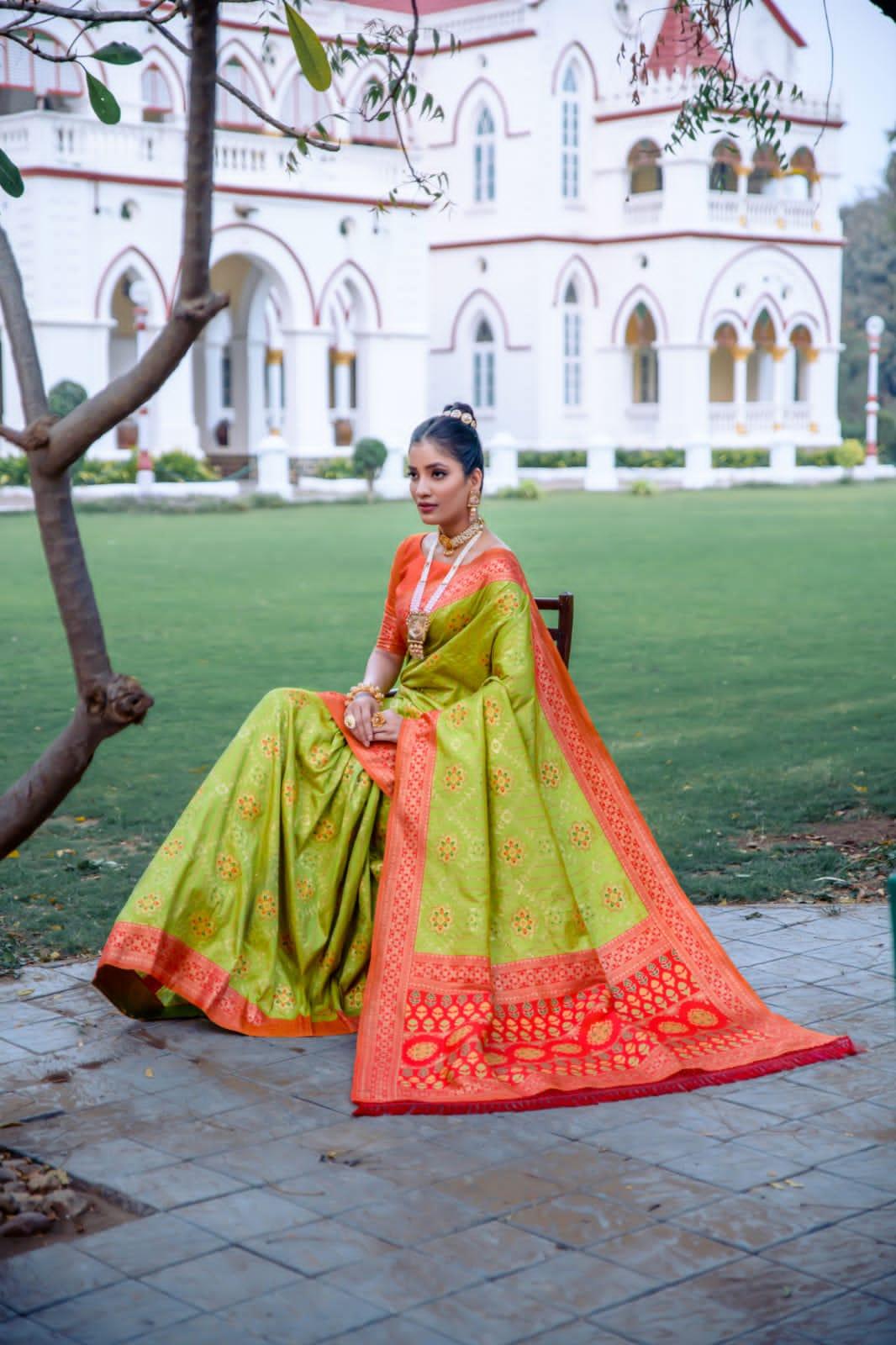 Beautiful Designer Banarasi Soft Silk Patola Saree