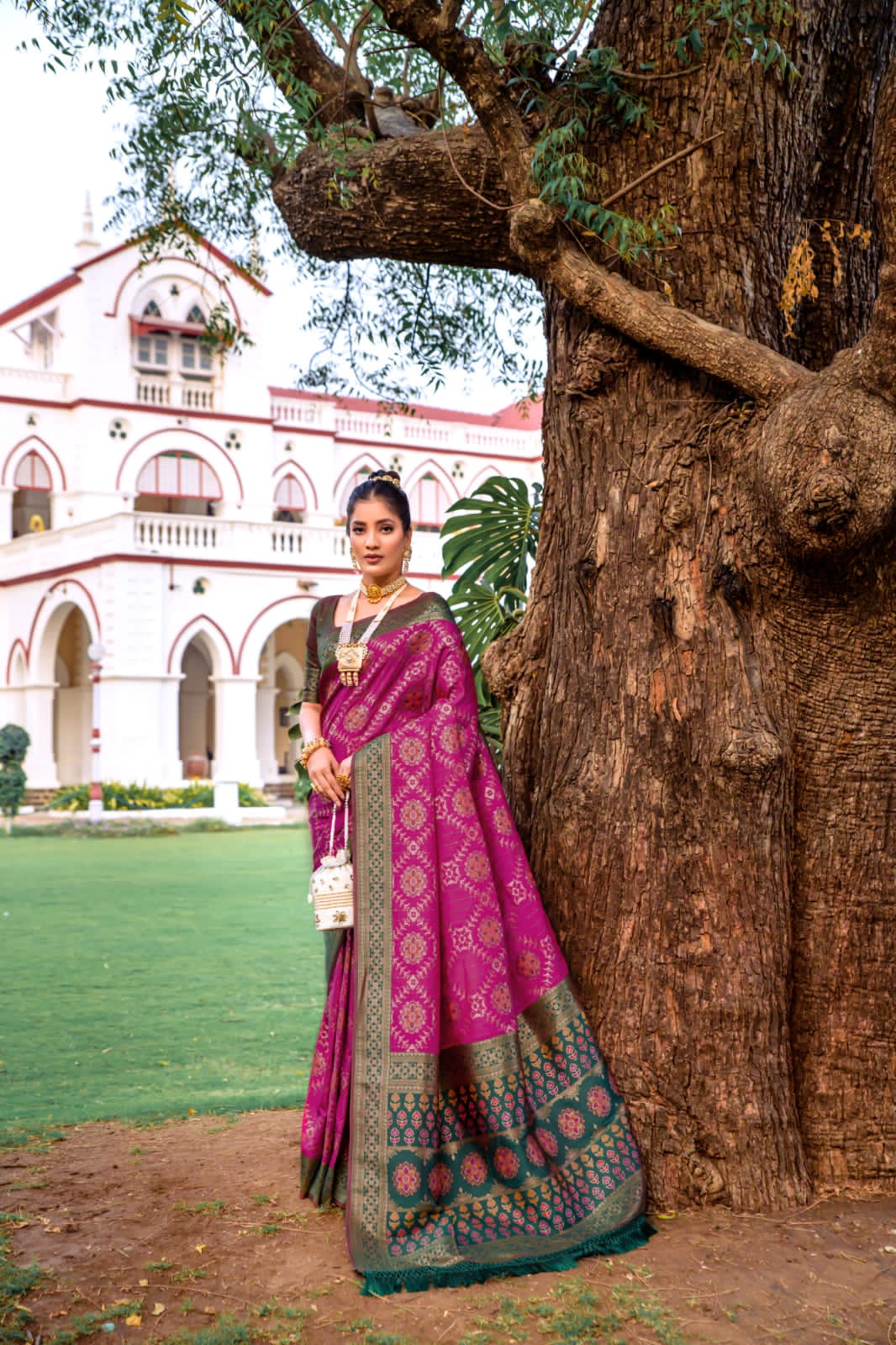 Beautiful Designer Banarasi Soft Silk Patola Saree