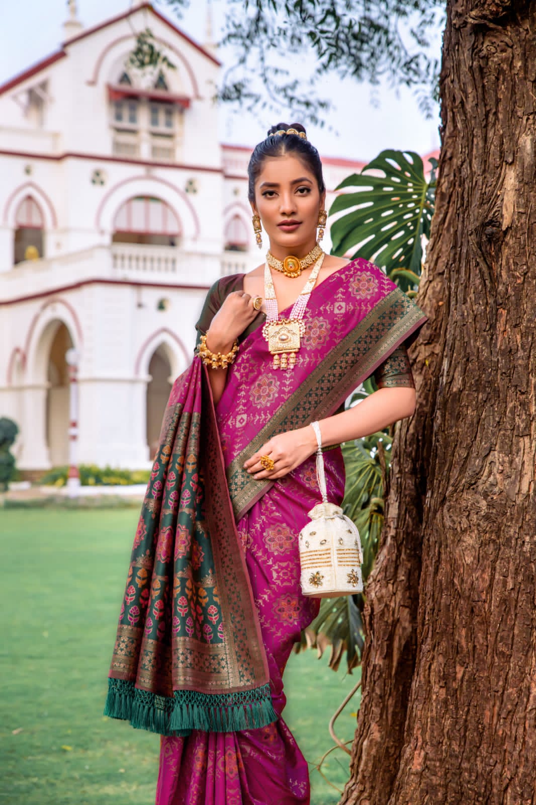 Beautiful Designer Banarasi Soft Silk Patola Saree