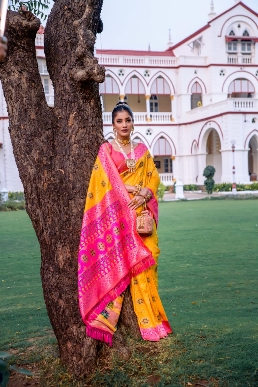 Beautiful Designer Banarasi Soft Silk Patola Saree
