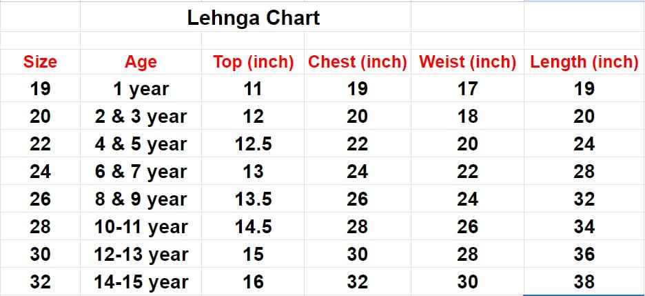 Beautiful Designer Kids Lehenga Choli