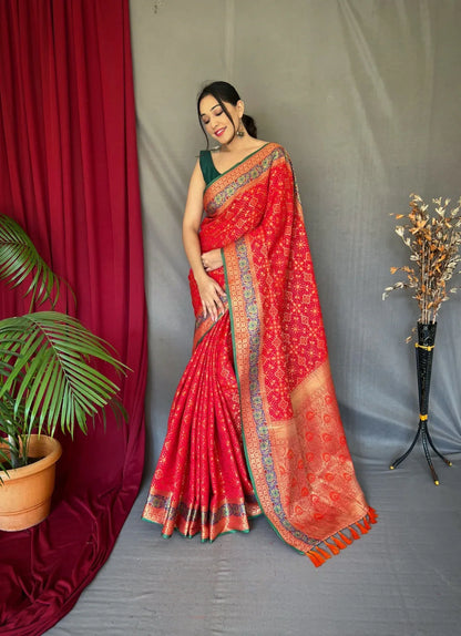 Pure Soft Designer Beautiful Bandhej Patola Silk Saree